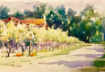 Marie Natale Watercolor